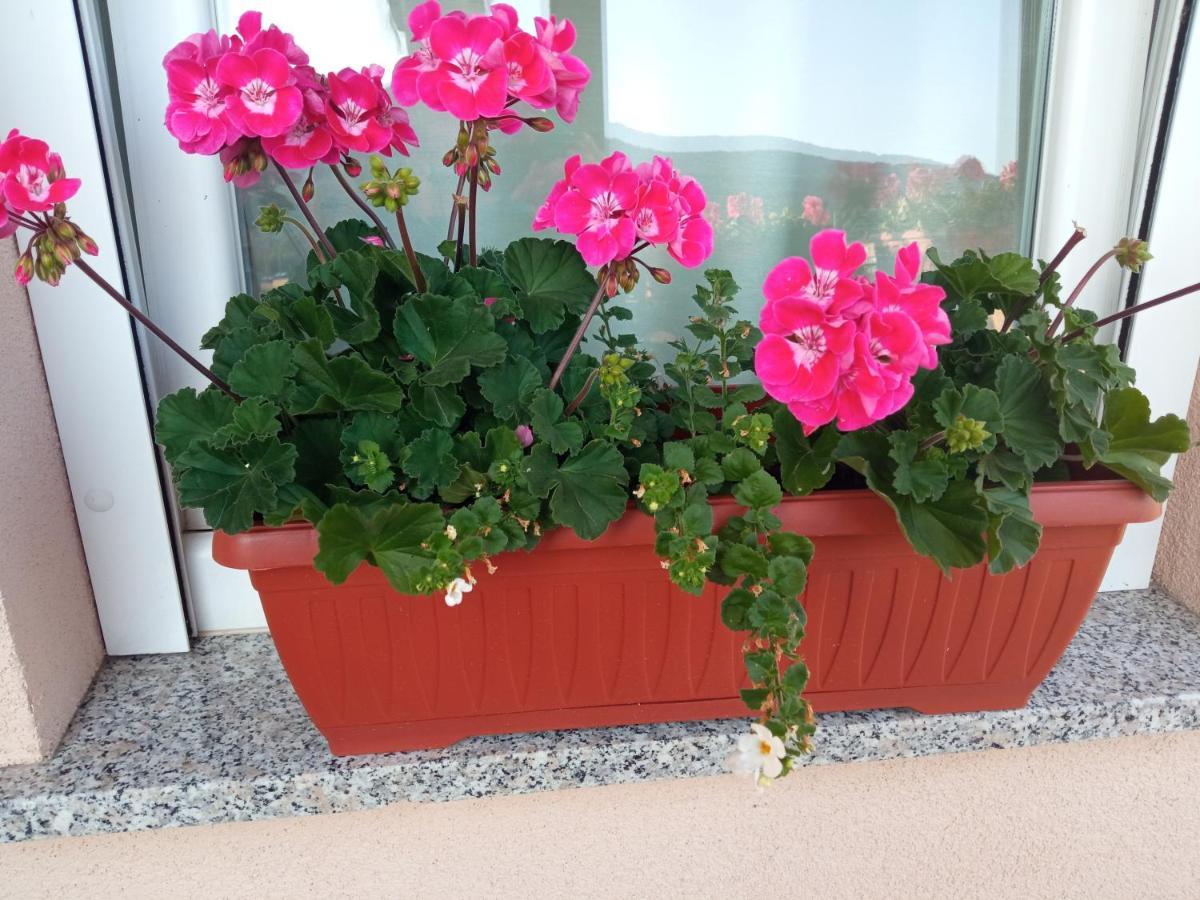 Apartman Vidovic Korenica Exterior foto